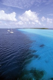 Polynesia