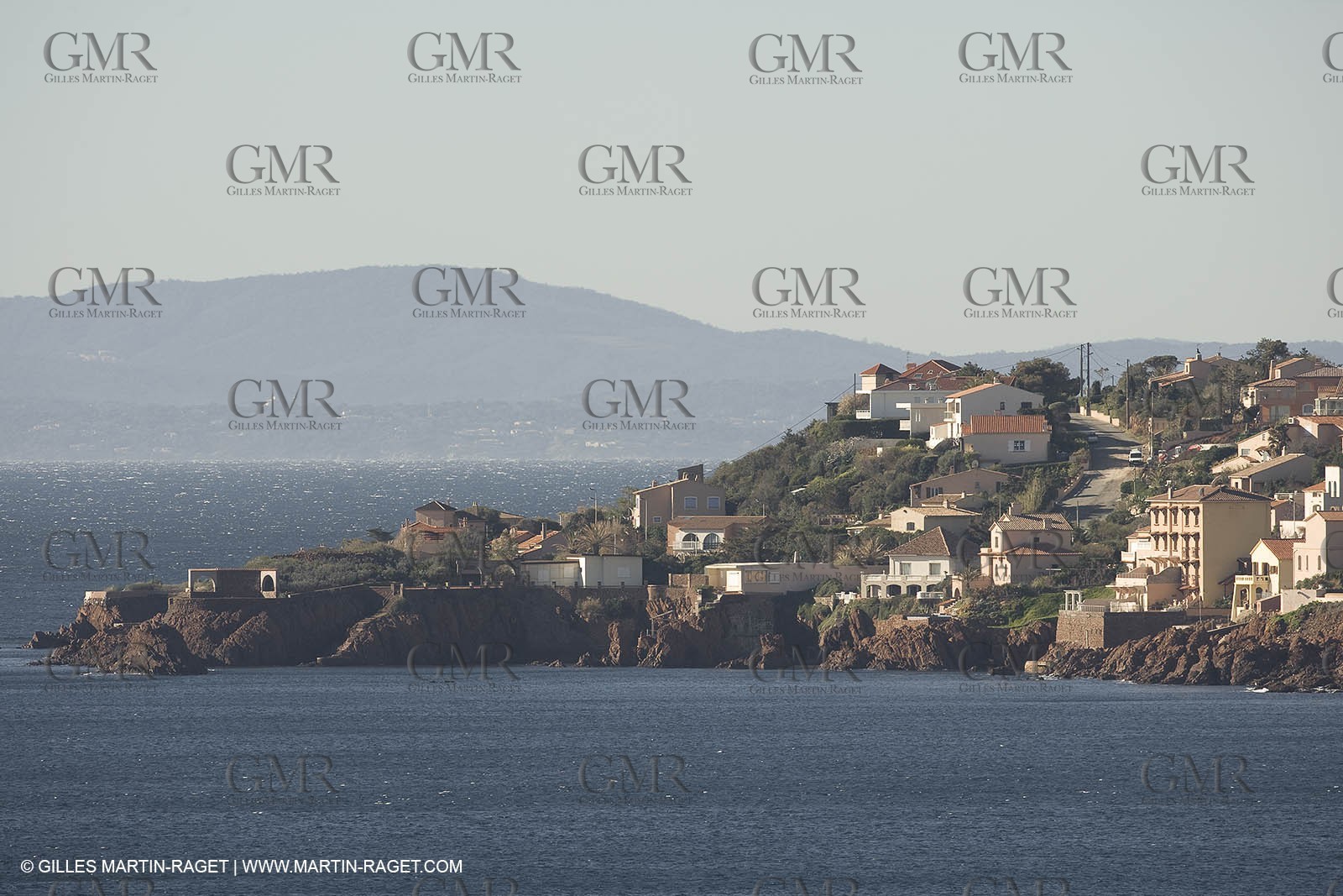 06 02 2008 - Théoule sur mer (FRA, 06) - Mimoses in full flower