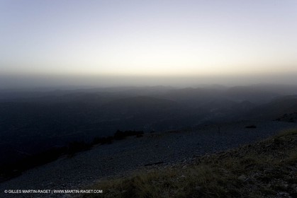 vtx0807_0045
