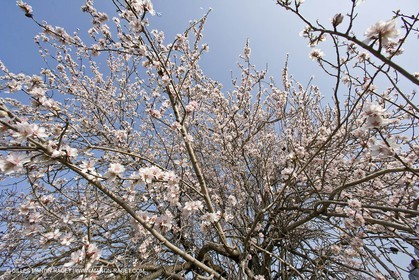 16 02 2008 - Les Baux de Provence (FRA, 13) - Alpilles hills landscapes