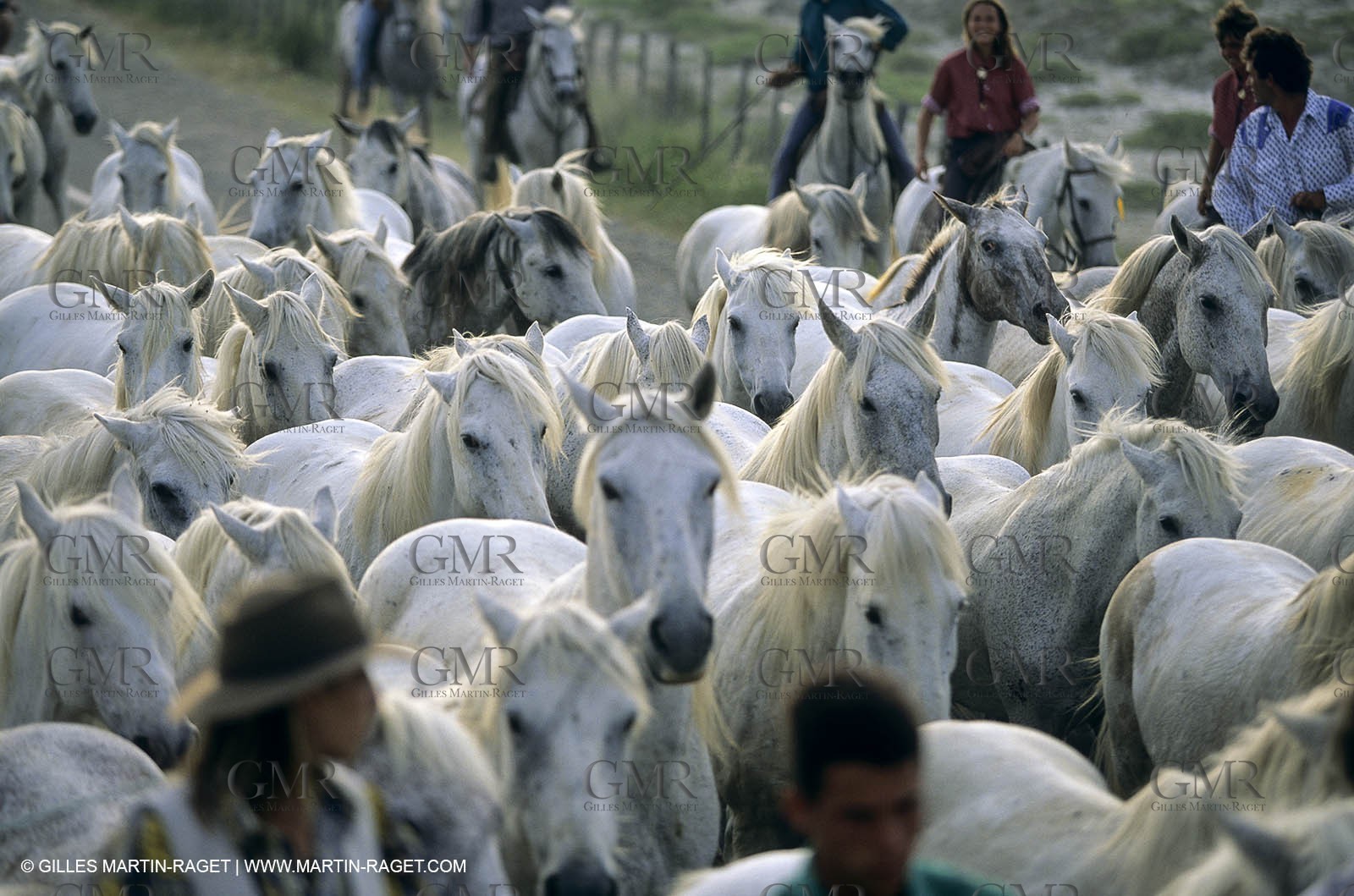 Camargue (FRA,13) - Gardians