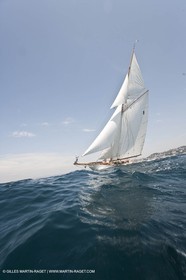Sailing, Classic yachts, Voiles Vieux Port 2009, Marseille (FRA)