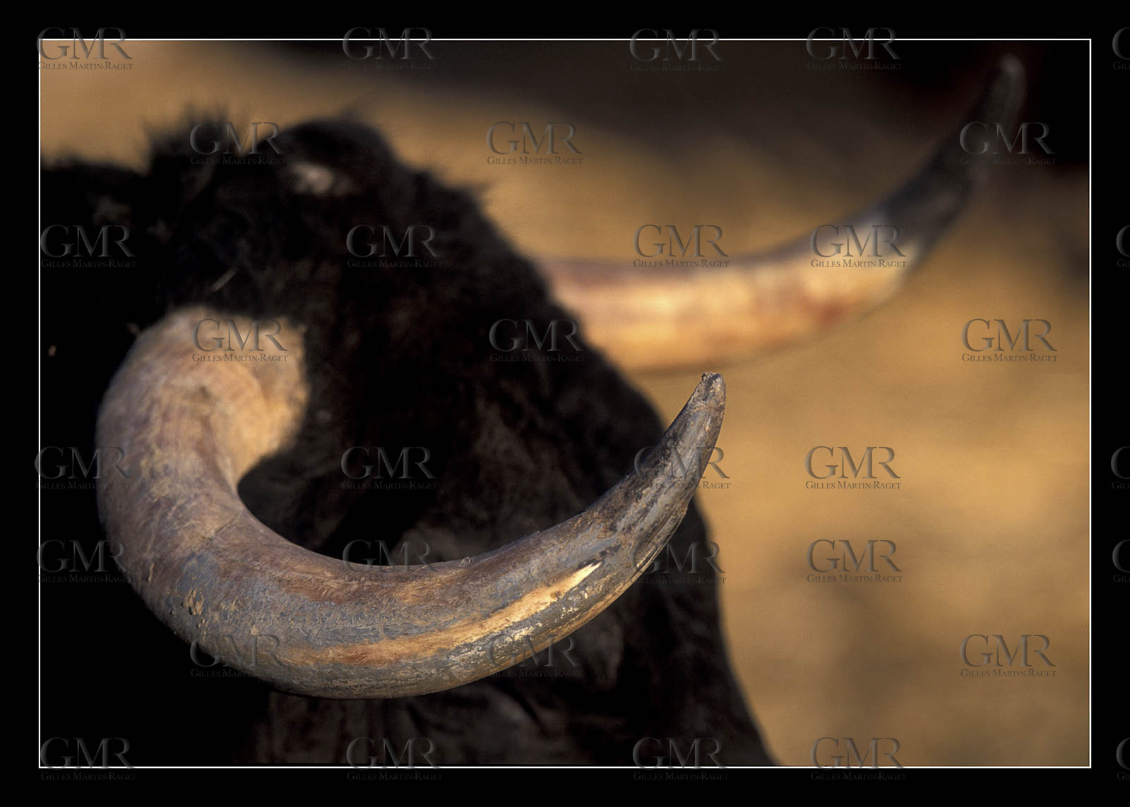 Product: in house made quality print on 8 ultrachome colors Epson ink Jet printer.Available sizes: . 30x40 cm. 50x70 cm. 80x120 cmAvailable papers: . Standard 250 gr glossy paper print, black streak, white margin, no signature. Top quality glossy 290 gr. paper, black streak, white margin, checked and signed by the author. Fine Art print (signed, numbered, stamped, registered) on demand. Other supports (Canvas, Acrylic, Metal) on demandPackaging: cylindric reinforced tubeShipping options: regular mail or Shipping companyClick on the basket icon to select your options and start the online ordering process