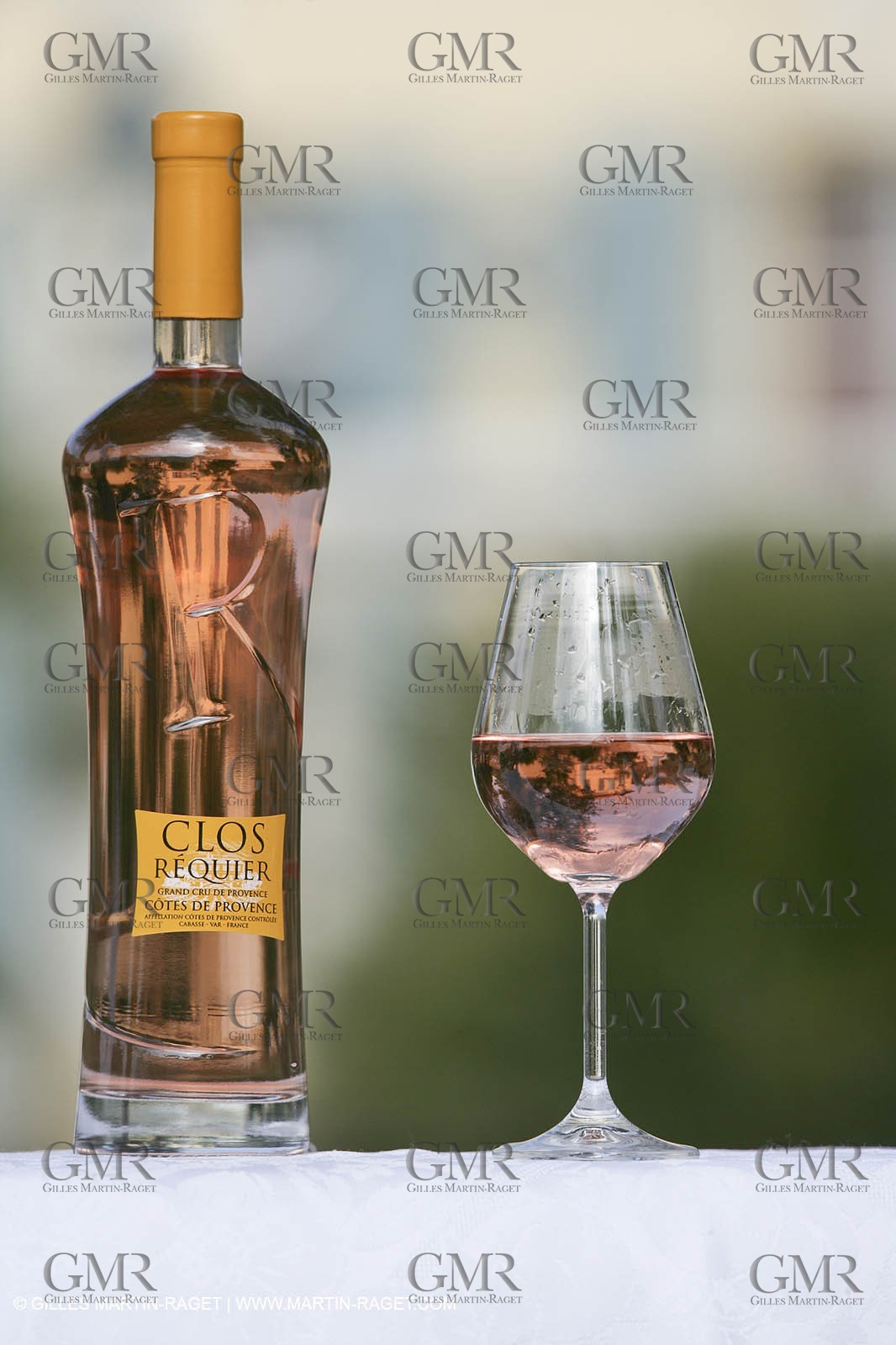 28 02 2008 - Cabasse (FRA, 83) - Domaine du Lac vines