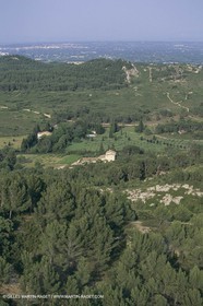 France, Provence, La Montagnette,
