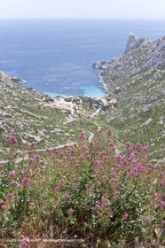 27 05 2009 - Marseille (FRA, 13) - Les Calanques - Sormiou
