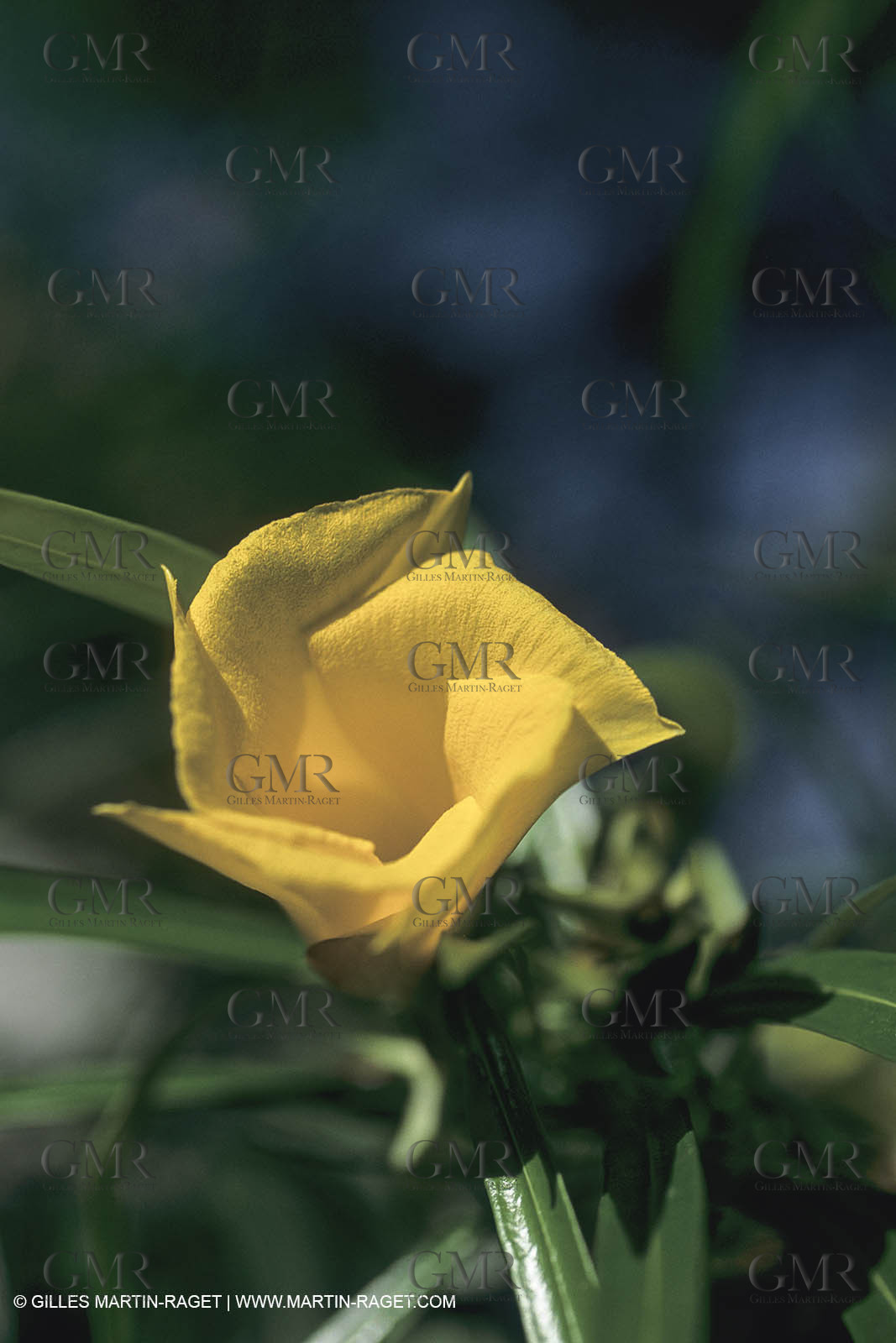 Destinations, New Caledonia