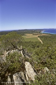 France - Var - 83 - Hyeres islands - Porquerolles