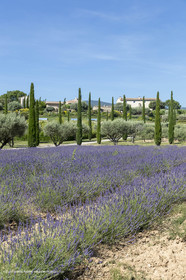 22 06 2018, Saint-Saturnin les Apts (FRA,84), Domaine des Andéols