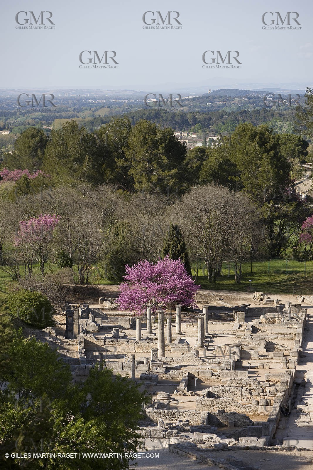 12 04 2008 - Saint Rémy de Provence - (FRA, 13) - Vincent Van Gogh south - Glanum roman ruin