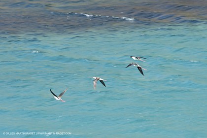 27 05 2009 - Marseille (FRA, 13) - Les Calanques - Sormiou
