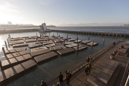07 01 2011 - San Francisco (USA,CA) - The piers - Pier 39