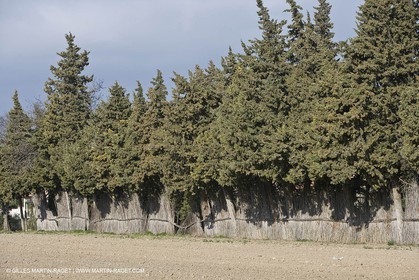 22 02 2008 - Saint Rémy de Provence (FRA, 13) - Alpilles hills landscapes