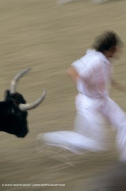 Gard, (FRA,30) - Camargue bull game