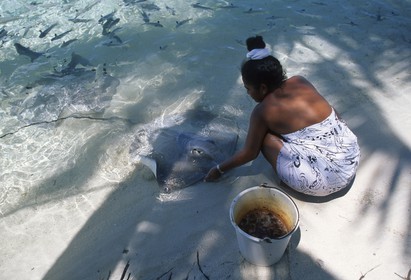 Destinations - Polynésie française - Iles sous le vent - Bora Bora