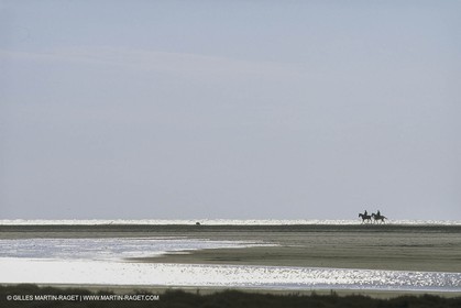 France, Provence, Gardians de Camargue