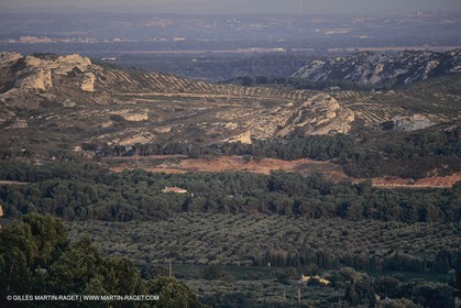 France, Provence, Les Alpilles