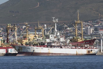 07 11 2014, Capetown (ZAF), Volvo Ocean Race 2014-15, Arrivals
