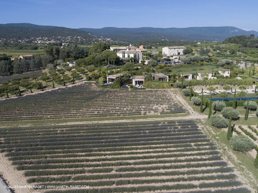22 06 2018, Saint-Saturnin les Apts (FRA,84), Domaine des Andéols