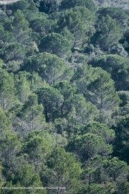 Nîmes Métropole landscapes (FRA,30) - Vaunage