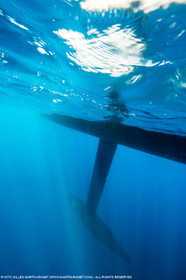 30 07 2016, Palma (Mallorca, Spain) Wally Yachts, Wally Cento Galateia