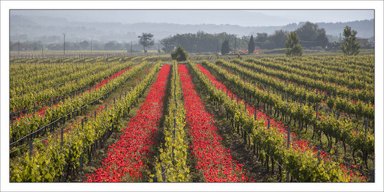Produit : Tirage photo réalisé par nos soins sur imprimante jet d'encre professionnelle Epson à partir de 8 encres ultrachrome inaltérables (label Digigraphie).Formats au choix : .. 50 x 100 cm. 100 x 200 cmChoix des papiers :. Papier standard brillant 250 gr., filet noir, marge blanche, tirage non signé. Papier haut de gamme satiné 290 gr. filet noir, marge blanche, tirage vérifié et signé par l'auteur.. Tirages d'art (Digigraphies) signées, numérotées, tamponnées, enregistrées sur demande. Autres supports (canvas, acrylique, dibond) sur demandeConditionnement : tube cylindrique renforcé.Options pour l'expédition : . Colissimo + dépôt boîte aux lettres (France uniquement). Colissimo avec signature à réception. Transporteur express (2 jours ouvrés) avec signature à réceptionCliquez sur caddie pour sélectionner votre formule et démarrer la procédure de commande en ligne