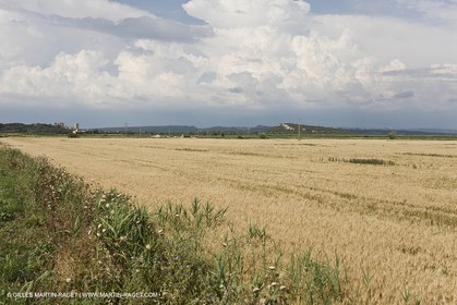 10 06 2008 - Arles and surroundings (FRA, 13) - Vincent Van Gogh south