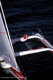 RhuMulti16.jpg