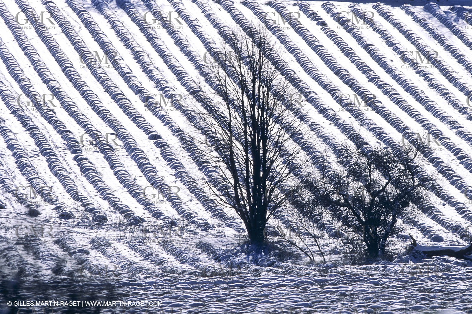 Provence under snow