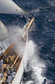 YC9H7382.JPG