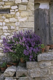 Landscapes and villages of Luberon national Park (FRA,04)