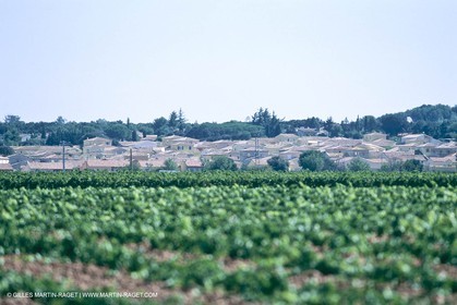 costieres_plaine0130