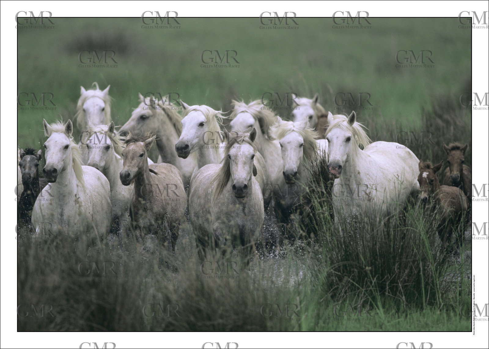 Product: in house made quality print on 8 ultrachome colors Epson ink Jet printer.Available sizes: . 30x40 cm. 50x70 cm. 80x120 cmAvailable papers: . Standard 250 gr glossy paper print, black streak, white margin, no signature. Top quality glossy 290 gr. paper, black streak, white margin, checked and signed by the author. Fine Art print (signed, numbered, stamped, registered) on demand. Other supports (Canvas, Acrylic, Metal) on demandPackaging: cylindric reinforced tubeShipping options: regular mail or Shipping companyClick on the basket icon to select your options and start the online ordering process