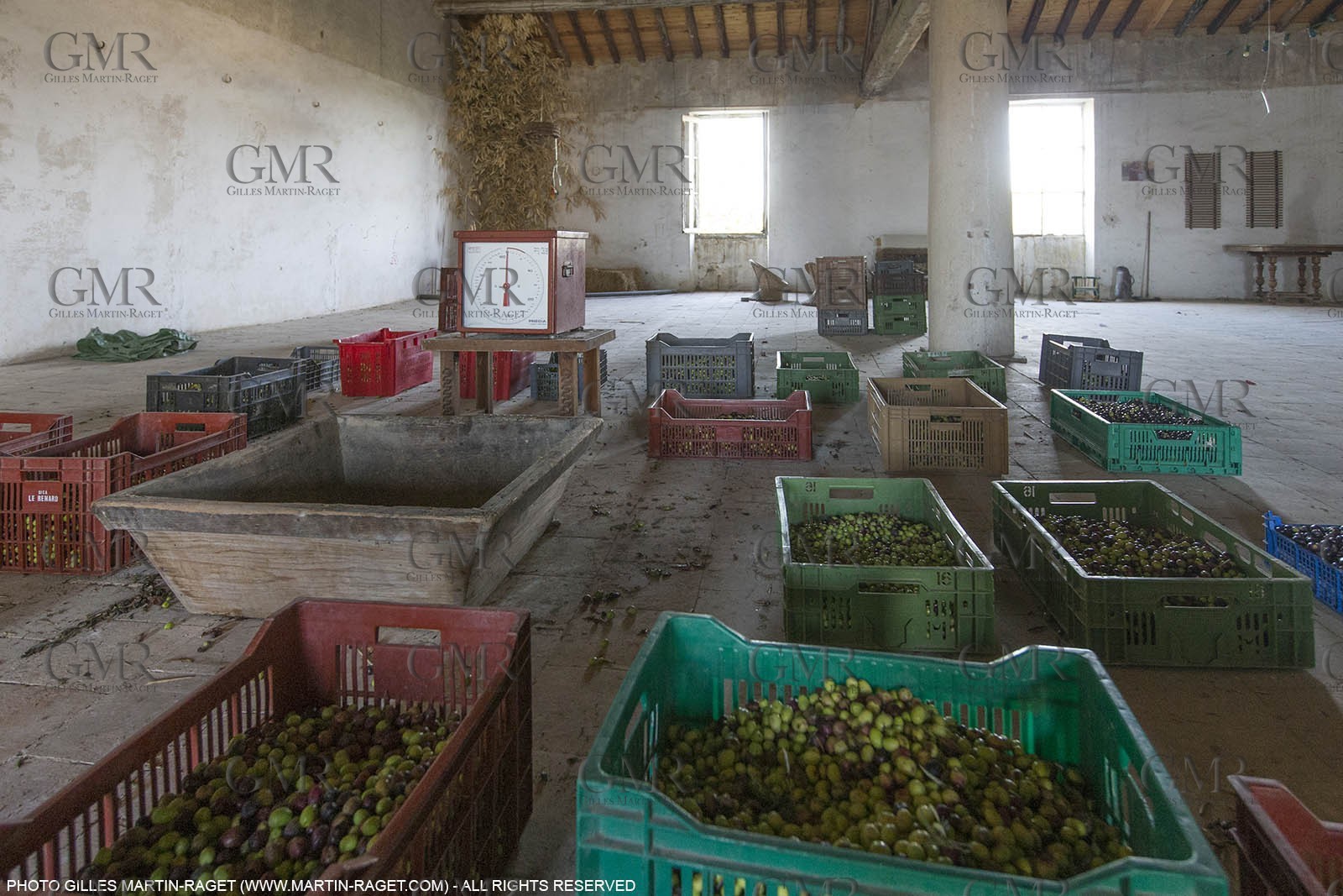 14 11 2015, Saint-Etienne du Grès (FRA,13), traditional making of olive oil at La Croix mill