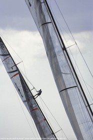 Yacht racing, 31st America's Cup 2003, Auckland (NZL) , Alinghi