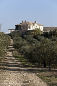 Saint Drézéry (FRA, 34), Domaine de Puech Haut