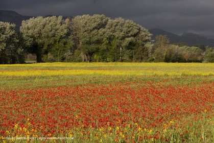 29 04 2012 ( Saint Rémy de Provence (FRA, 13) - Chaîne des Alpilles vers Romanin