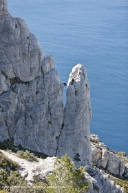 30 04 2009 - Marseille (FRA, 13) - Les Calanques - La Grande Candelle - Arrête de Marseille