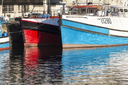 08 11 2014, Capetown (ZAF), Volvo Ocean Race 2014-15, Team Alvimedica, Nursing the boat