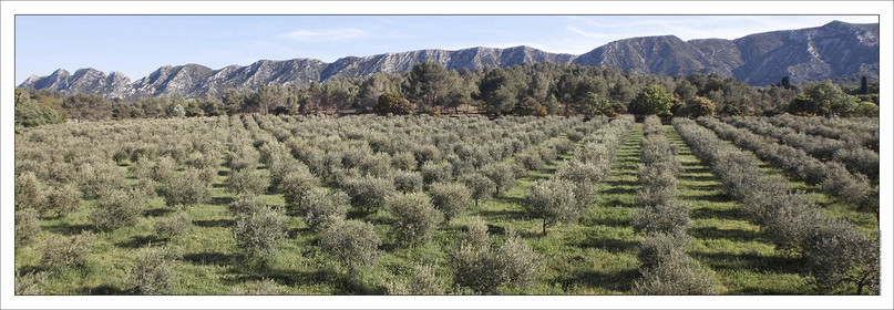 Produit : Tirage photo réalisé par nos soins sur imprimante jet d'encre professionnelle Epson à partir de 8 encres ultrachrome inaltérables (label Digigraphie).Formats au choix :. 20 x 60 cm. 33 x 95 cm- 52 x 150 cmChoix des papiers :. Papier standard brillant 250 gr., filet noir, marge blanche, tirage non signé. Papier haut de gamme satiné 290 gr. filet noir, marge blanche, tirage vérifié et signé par l'auteur.. Autres supports (canvas, acrylique, dibond) sur demandeConditionnement : tube cylindrique renforcé.Options pour l'expédition : . colissimo + dépôt boîte aux lettres (France uniquement). Colissimo avec signature à réception. Transporteur express (2 jours ouvrés) avec signature à réceptionCliquez sur caddie pour sélectionner votre formule et démarrer la procédure de commande en ligne