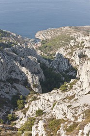 10 09 2009 - Marseille (FRA, 13) - Les Calanques - Massif de Marseilleveyre- Vallon de Mougranier -Vallonl Saint Michel - Callelongue