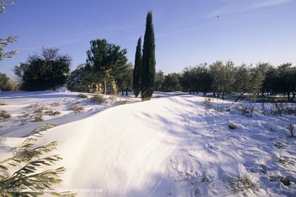 Provence under snow - Baux ed Provence