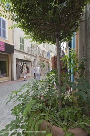 06 06 09 - Sanaray Sur Mer (FRA,83)