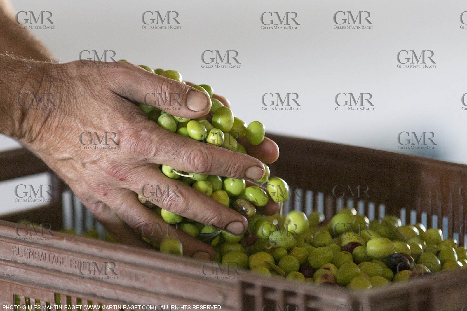 14 11 2015, Saint-Etienne du Grès (FRA,13), traditional making of olive oil at La Croix mill