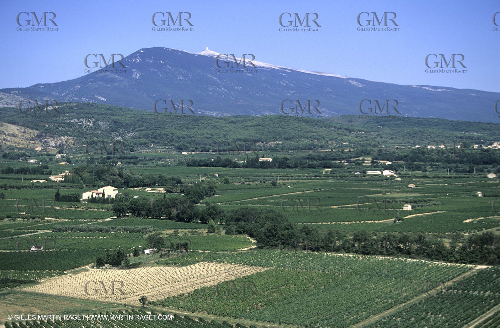 Côtes du Rhône - Beaumes de Venise vineyards - Mont Ventoux