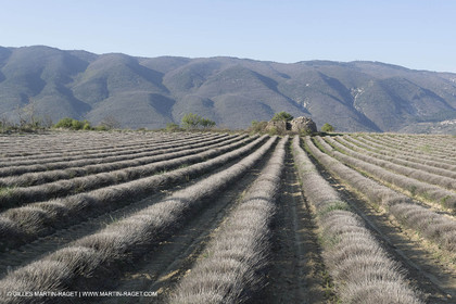 19 04 2018, Saint Martin de Castillon (FRA,84)