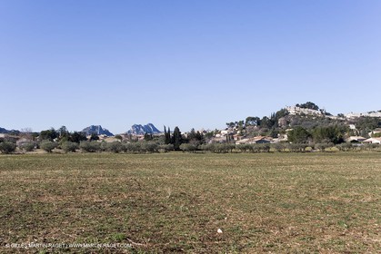 15 02 2007 - Provence - Les Alpilles