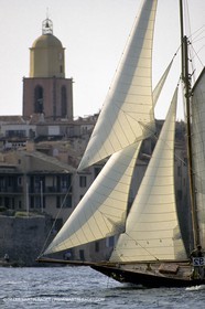 PD1Nioul02.jpg