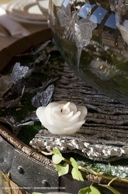 22 12 2008-Cabasse (FRA,83) - Domaine du Lac