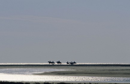 Camargue (FRA,13) - Gardians